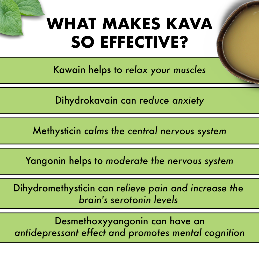 PURE SINGLE ORIGIN VANUATU NOBLE KAVA - Melo Melo