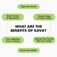 8 x 25g [200g] PURE NOBLE KAVA [Packed For You]